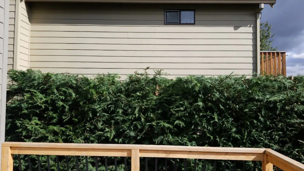 Affordable outdoor landscaping for year-round maintenance in Lake Oswego, OR by RCS Landscaping