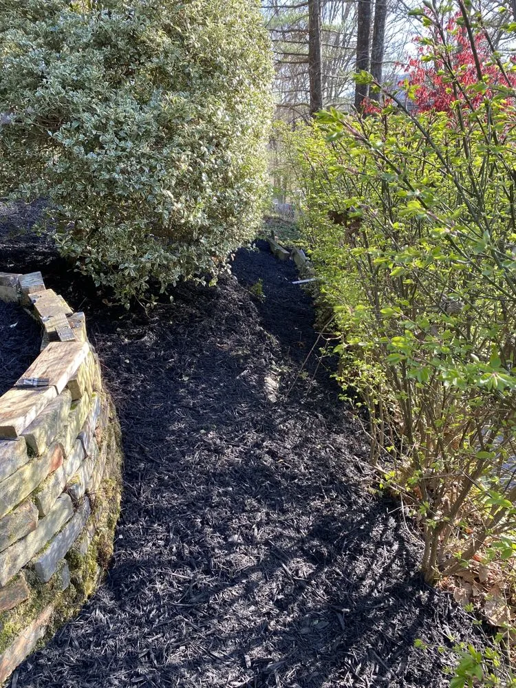 Affordable landscaping services for homes in Brevard, NC by RC's Lawn & landscaping Service