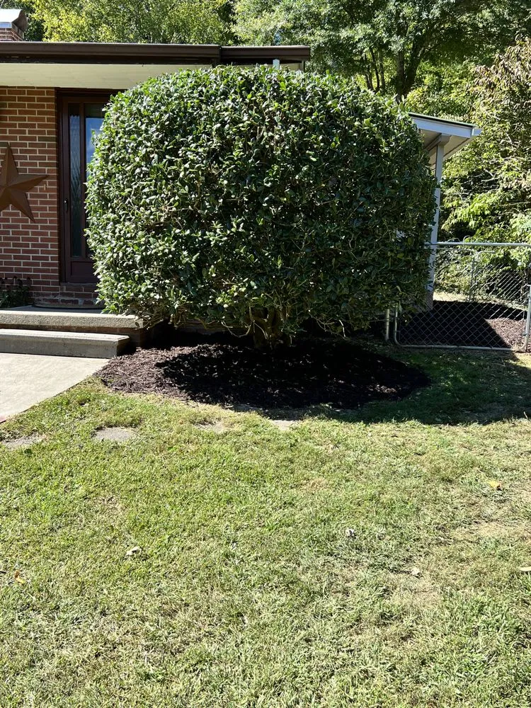 Reliable outdoor landscaping for year-round maintenance across Brevard, NC - RC's Lawn & landscaping Service