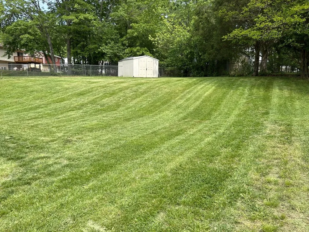 Local yard cleanup service in Dale City, VA - RC’s Lawncare
