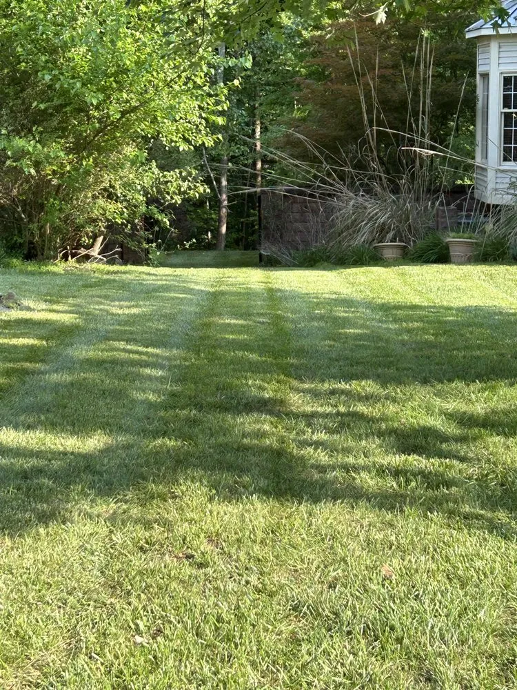 Custom lawn care service in Dale City, VA - RC’s Lawncare