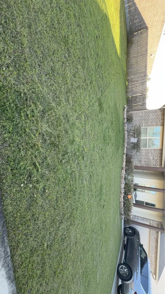 Affordable yard cleanup service for year-round maintenance in Prairieville, LA by R&D Cleaning Service