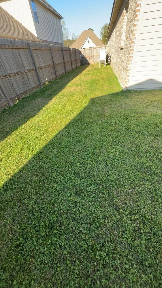 Reliable yard maintenance for residential properties across Prairieville, LA - R&D Cleaning Service