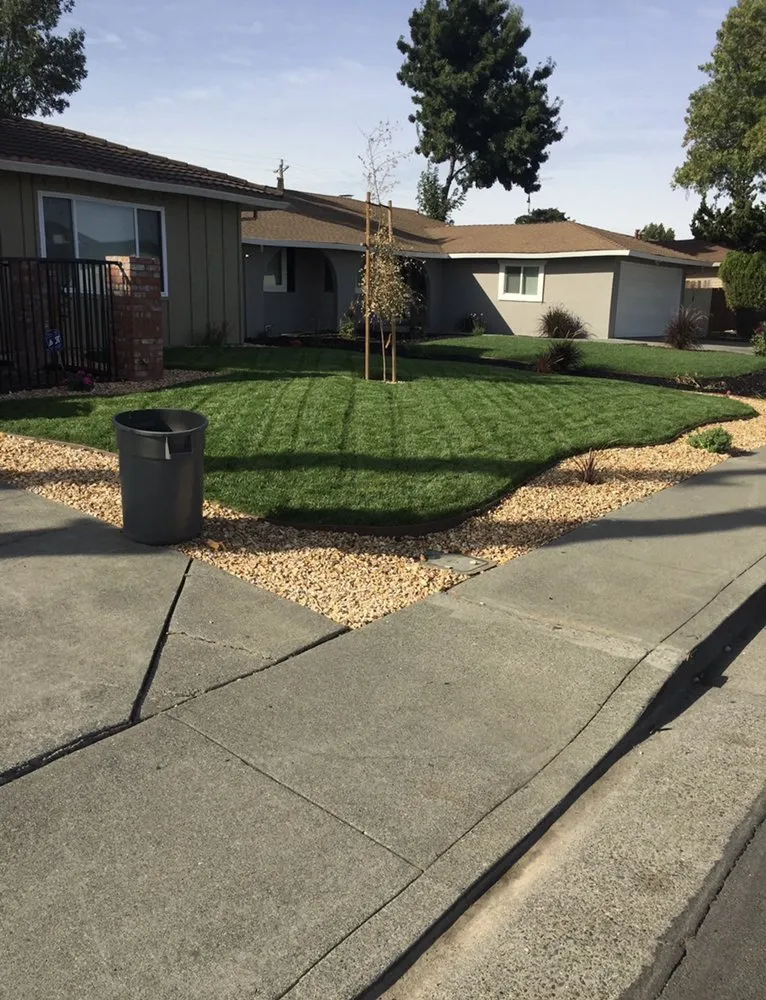 Affordable residential landscaping experts serving Vallejo, CA - R&D General Landscaping