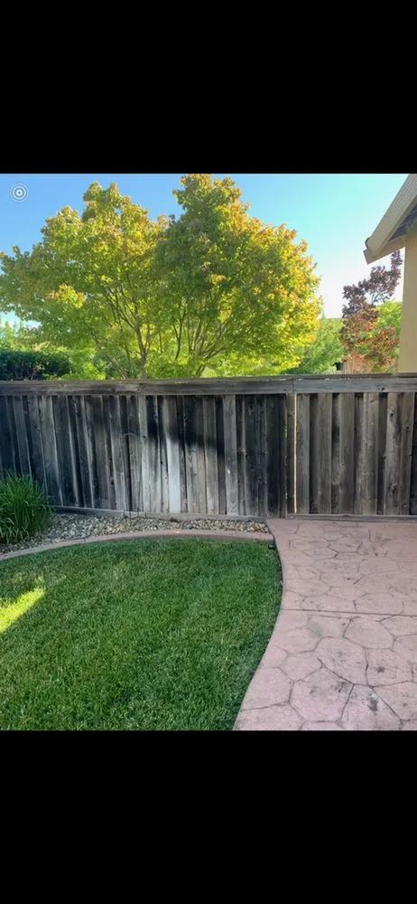 Reliable lawn care service experts serving Vallejo, CA - R&D General Landscaping