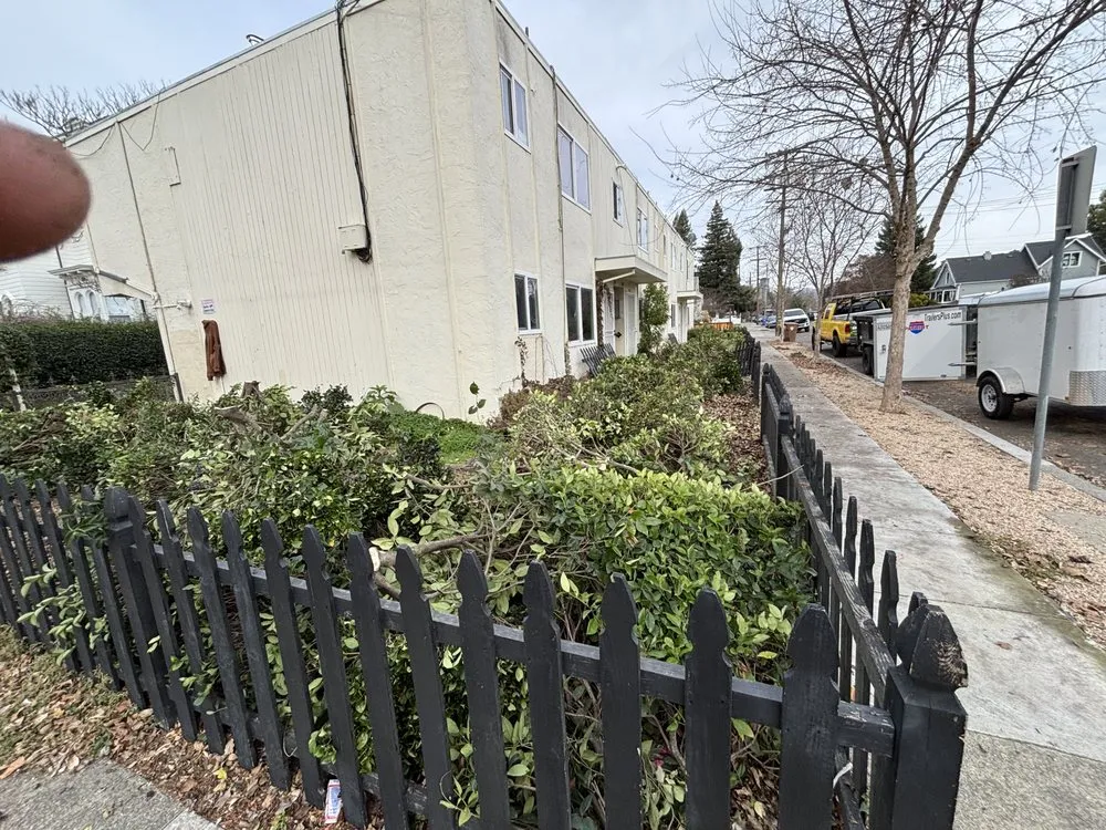 Expert landscape design for outdoor upgrades in Napa, CA by Rd General Yard Maintenance