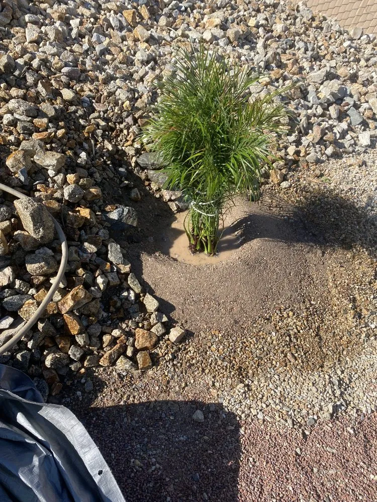 Expert outdoor landscaping in Lake Havasu City, AZ - R&D House Cleaning and Landscaping