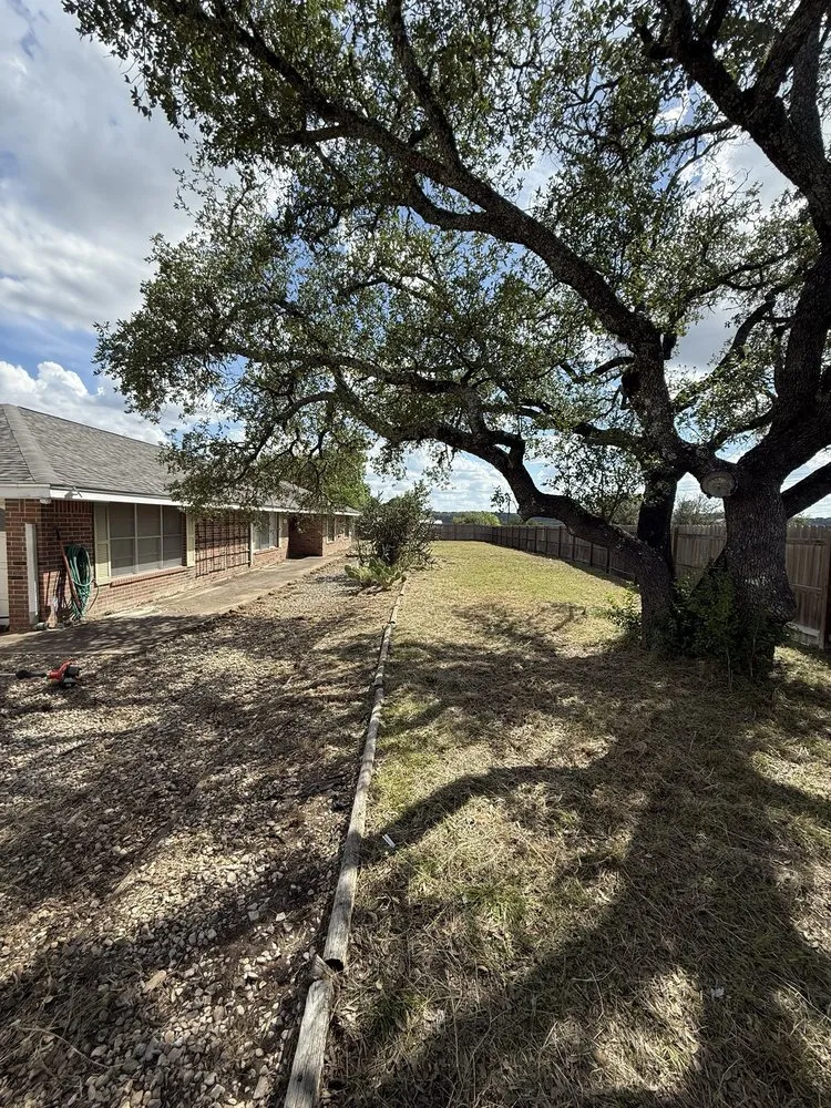 Affordable yard cleanup service for beautiful yards across Kerrville, TX - R&D Land Management