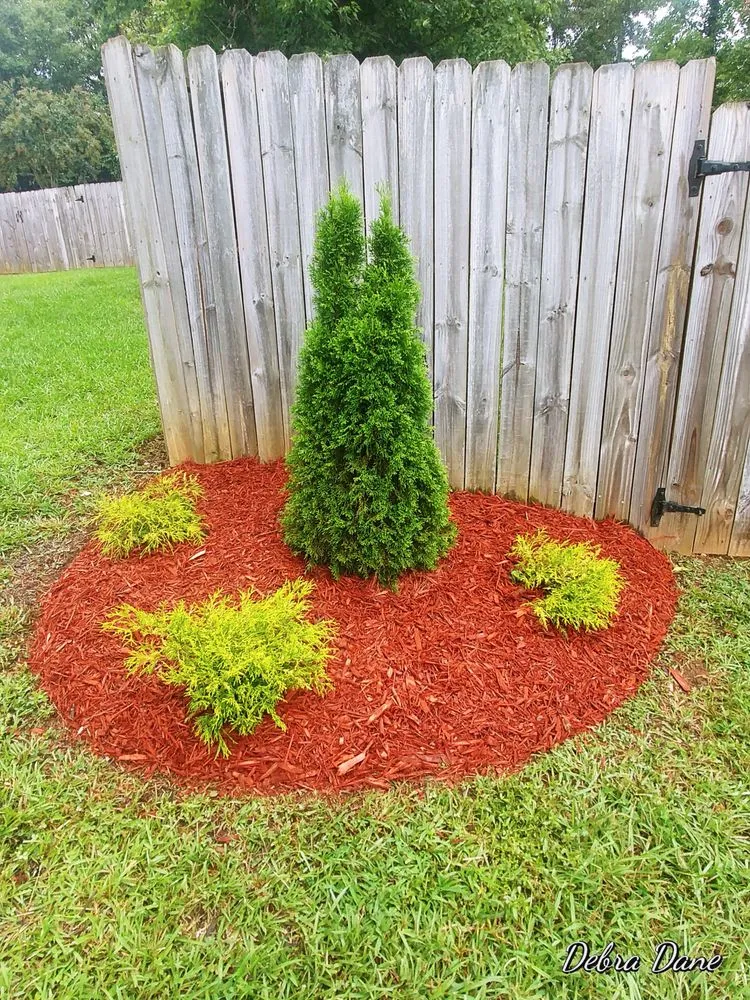 Reliable landscape installation in Central, SC - R&D Landscape and Irrigation