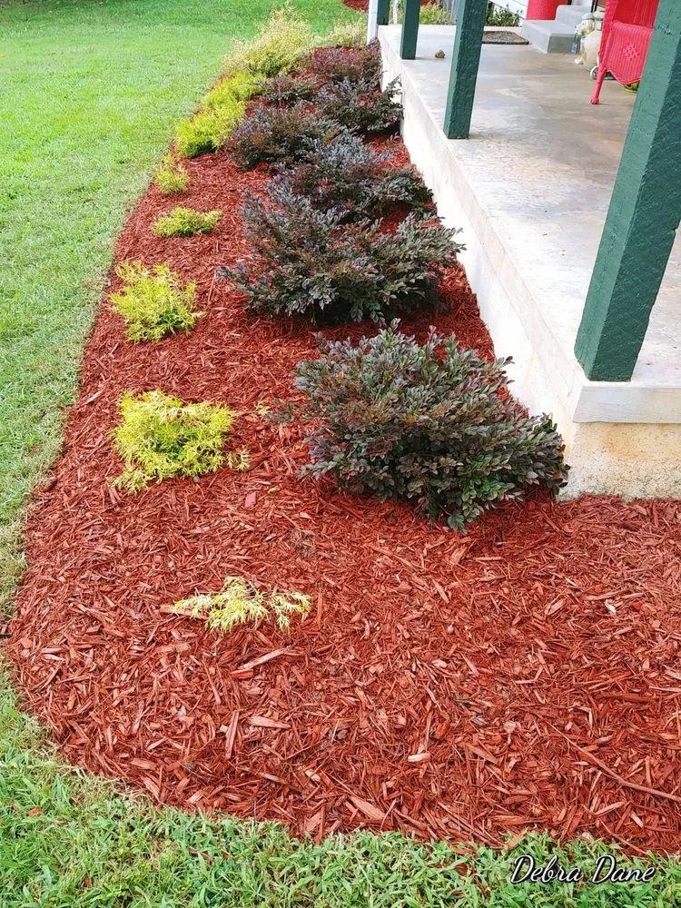 Affordable landscape installation in Central, SC by R&D Landscape and Irrigation