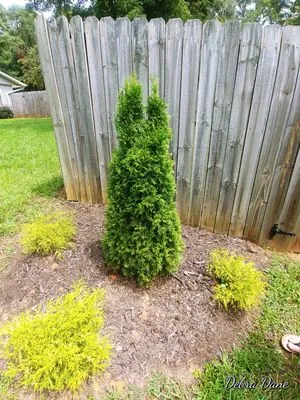 R&D Landscape and Irrigation Logo