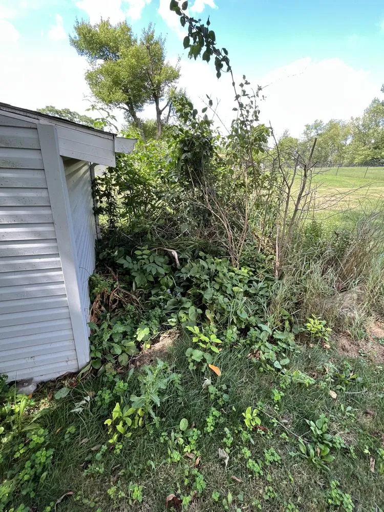 Reliable lawn mowing service for outdoor upgrades in Canton, OH by R&D Landscape