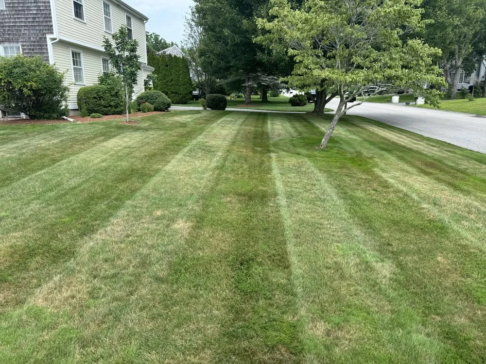Trusted lawn mowing service experts serving Bristol, RI - RD Landscaping
