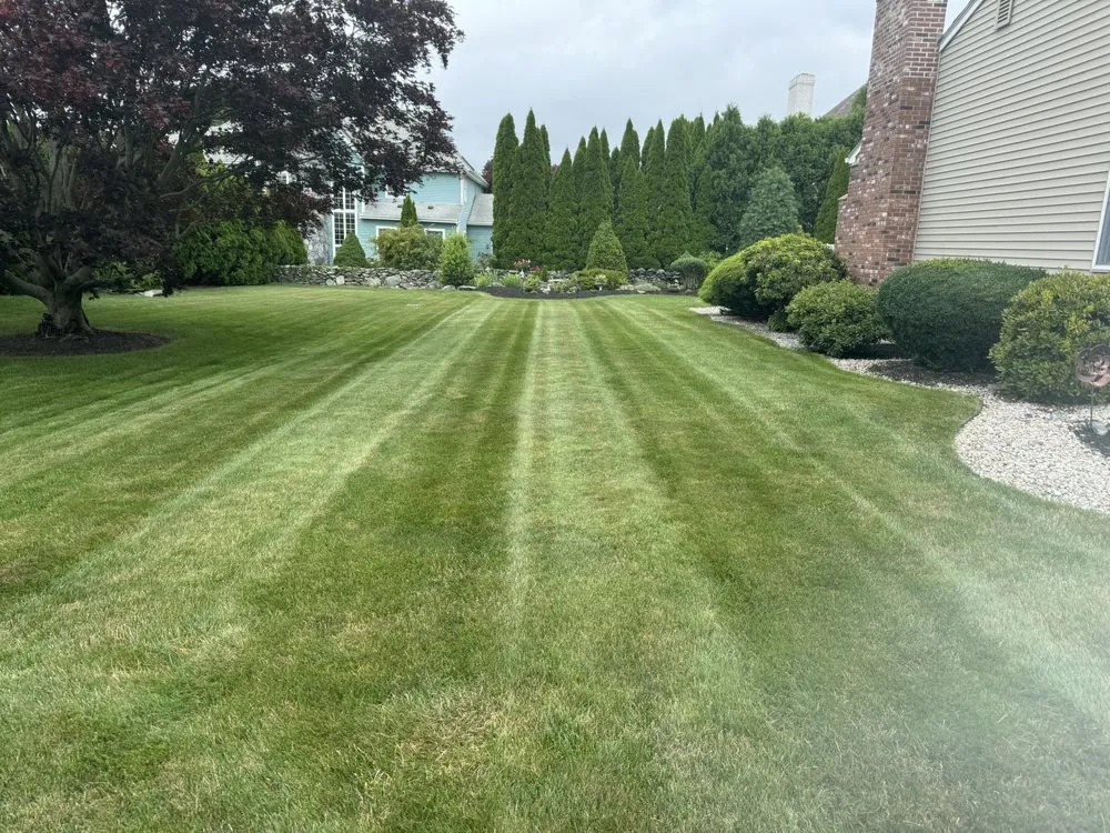 Professional yard cleanup service experts serving Bristol, RI - RD Landscaping