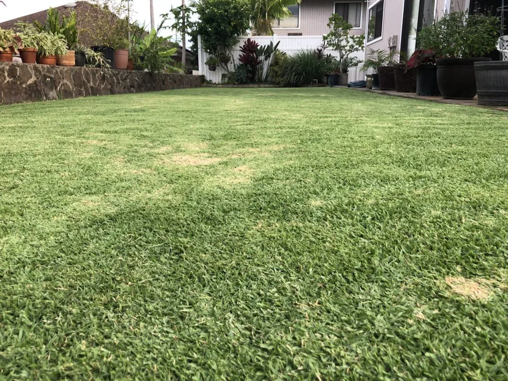 Expert lawn mowing service in Oahu, HI by RD Landscaping