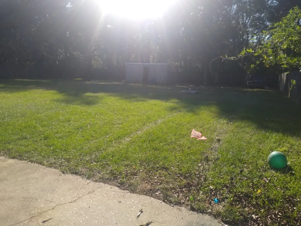 Trusted residential landscaping for beautiful yards in Theodore, AL by R&D Lawn & Performance