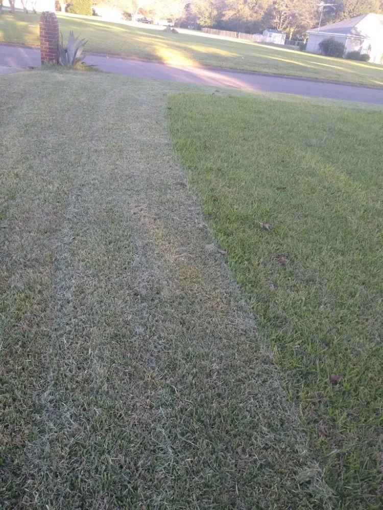 Reliable lawn care service experts serving Theodore, AL - R&D Lawn & Performance