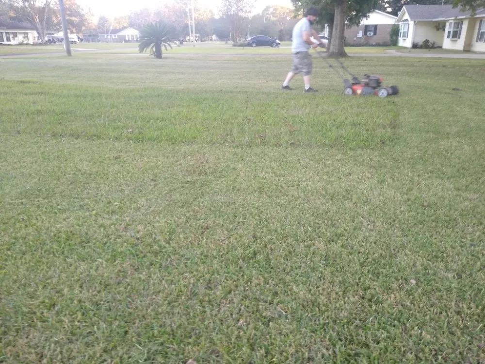 Reliable residential landscaping experts serving Theodore, AL - R&D Lawn & Performance