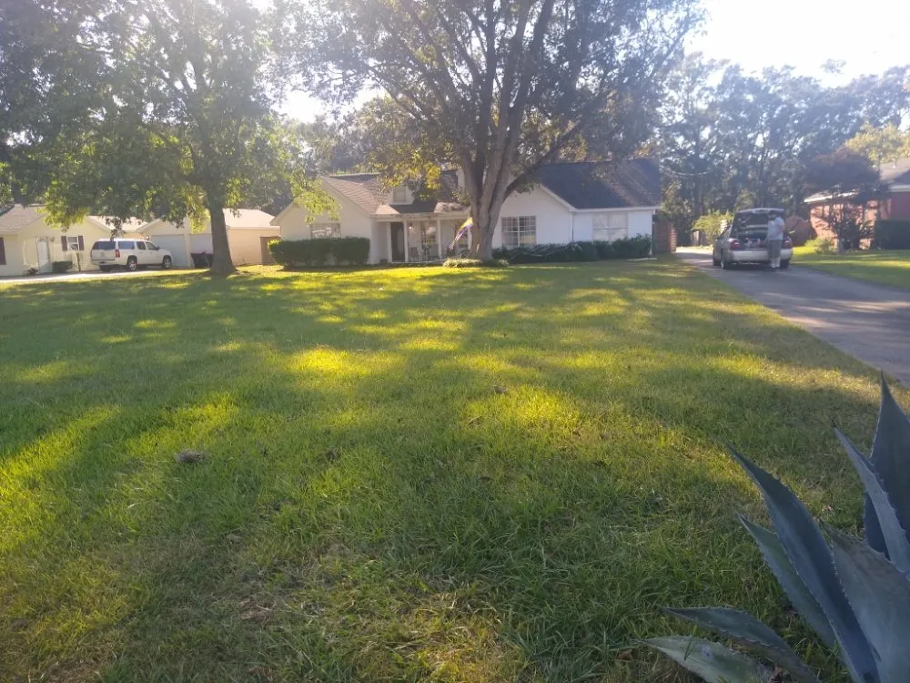 Custom landscape design experts serving Theodore, AL - R&D Lawn & Performance