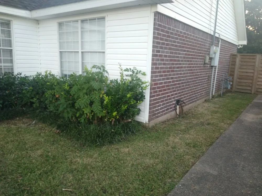 Trusted lawn care service in Theodore, AL by R&D Lawn & Performance