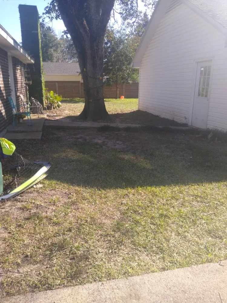 Expert landscaping services experts serving Theodore, AL - R&D Lawn & Performance