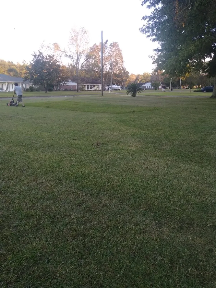 Top-rated landscape installation near you in Theodore, AL by R&D Lawn & Performance