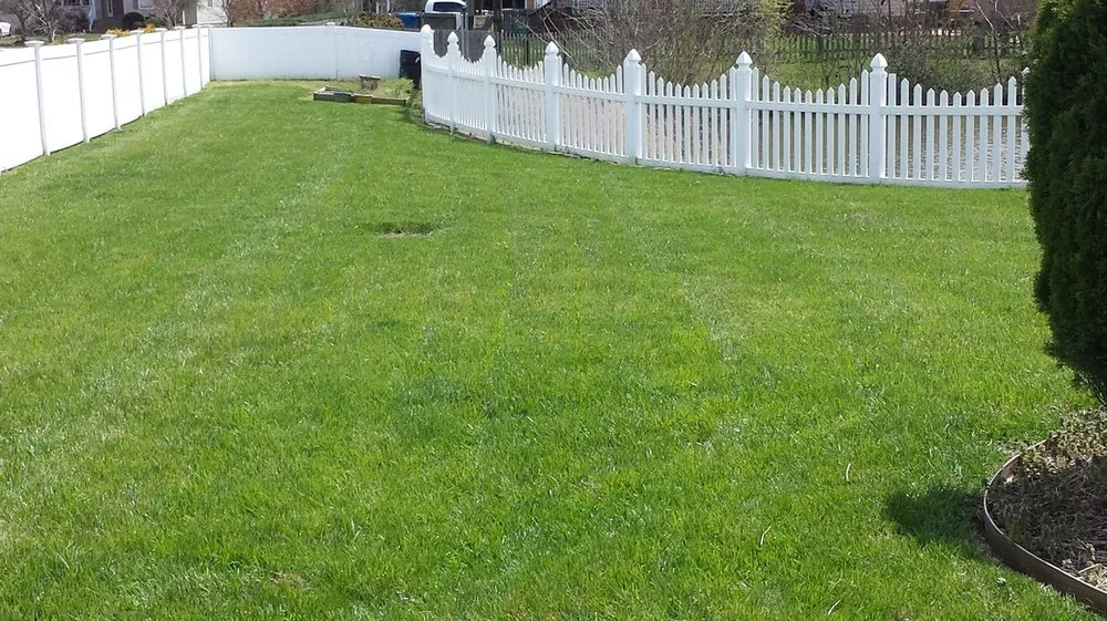 Trusted yard maintenance experts serving Chesapeake, VA - R&D Lawn and Landscaping