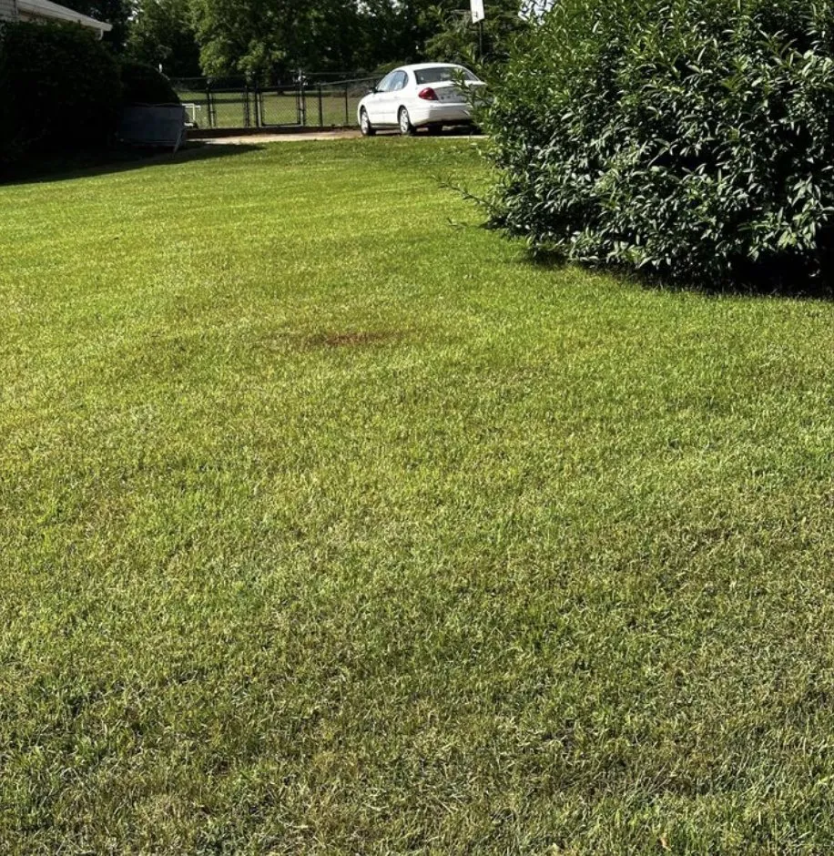 Custom lawn care service with custom design in Anderson, SC by R&D Lawn Service