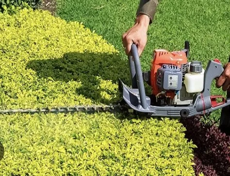 Expert lawn care service experts serving Anderson, SC - R&D Lawn Service