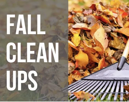 Local lawn care service in Anderson, SC - R&D Lawn Service