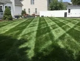 Affordable landscape design for beautiful yards across Seligman, MO - R&D Mowing and Lawn Care