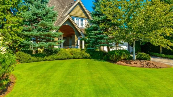 R&D Mowing and Lawn Care