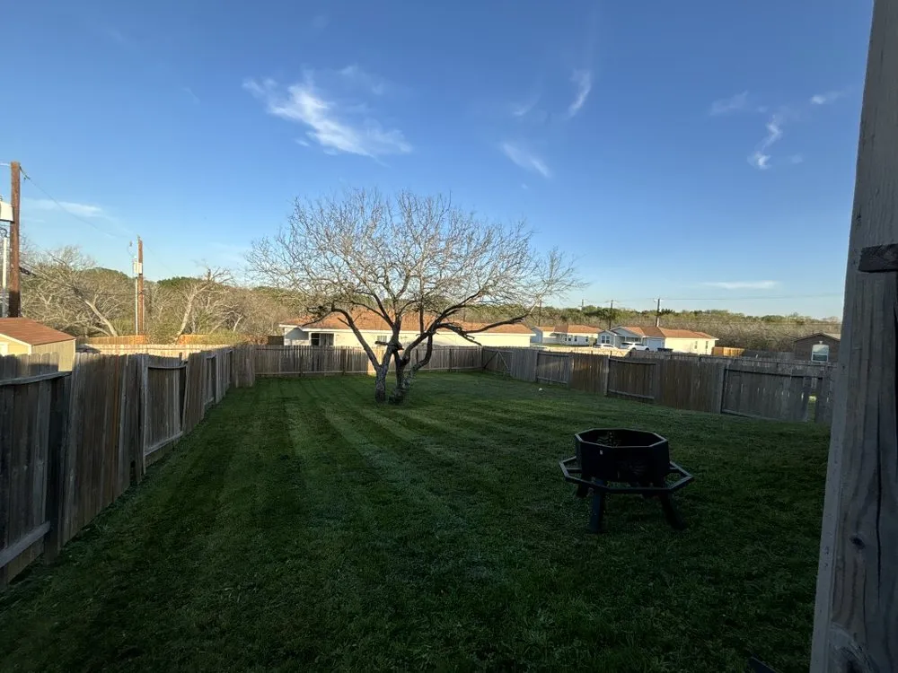 Professional yard cleanup service for outdoor upgrades in San Antonio, TX by RD Mowing