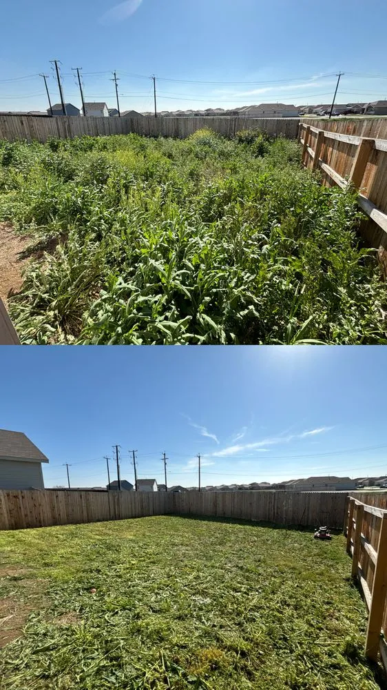 Custom yard maintenance in San Antonio, TX by RD Mowing