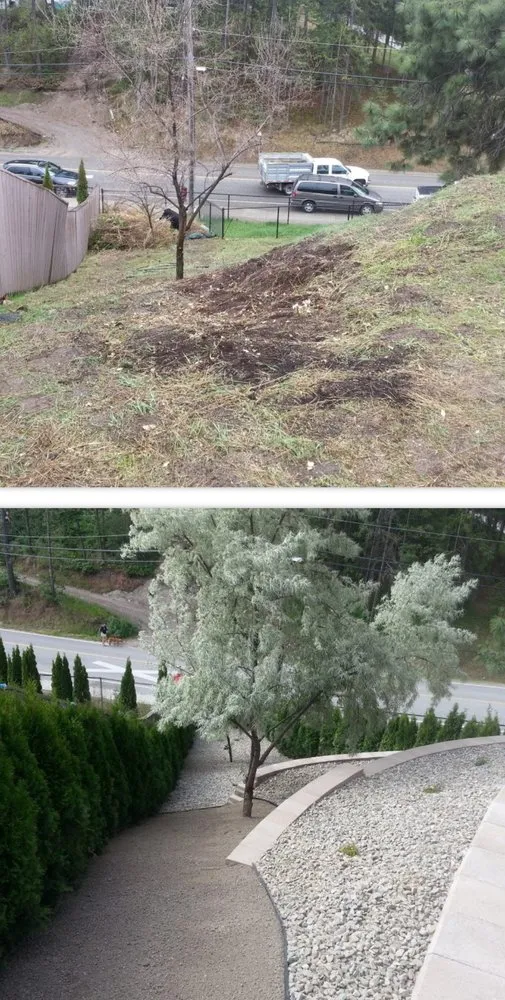 Professional yard cleanup service in Yucaipa, CA - R&D PAINT