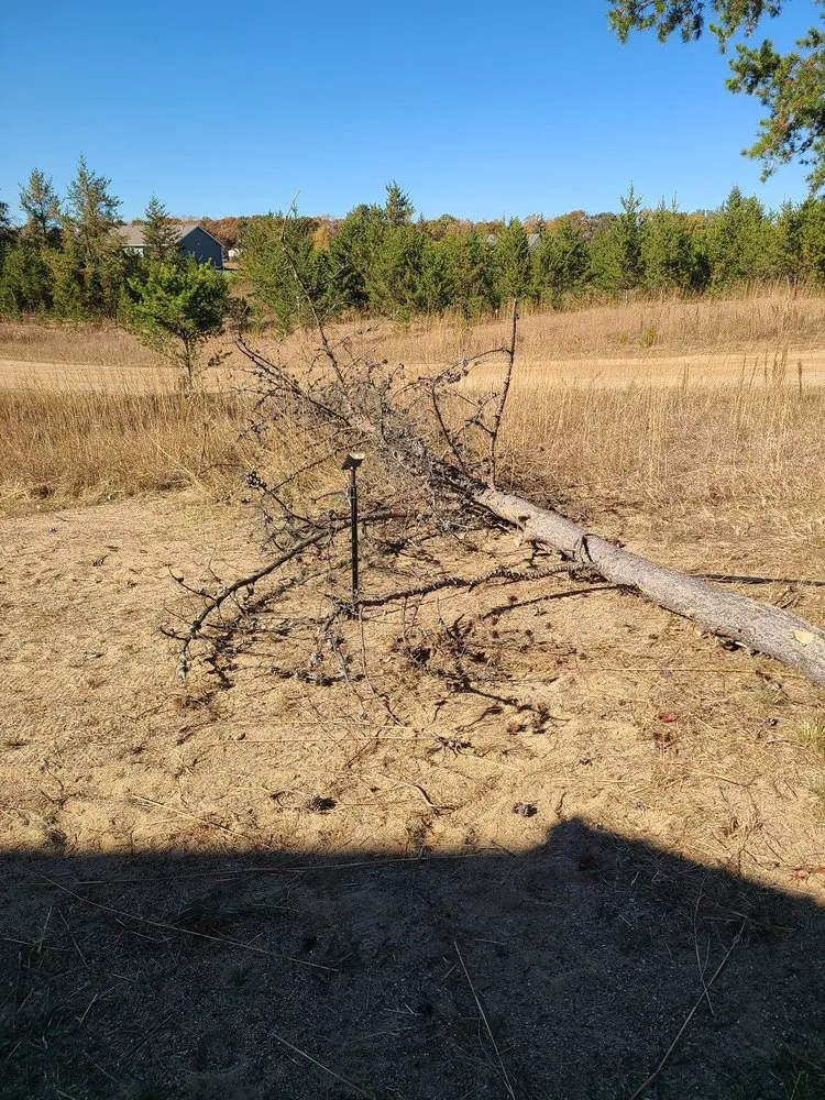 Reliable landscape design for homes in Pequot Lakes, MN by RD Services Lakes Country