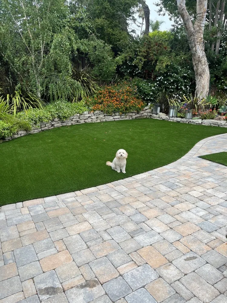 Trusted yard cleanup service experts serving Garden Grove, CA - RD Turf and Putting Greens