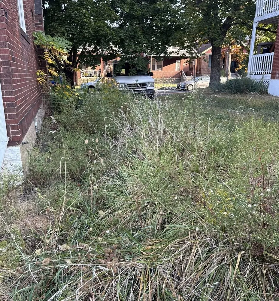 Professional landscaping services in Braddock, PA - RD3 Lawn Care