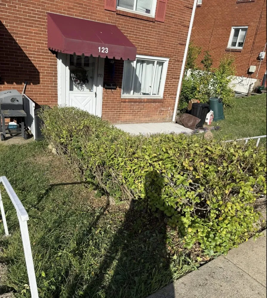 Custom yard maintenance in Braddock, PA - RD3 Lawn Care