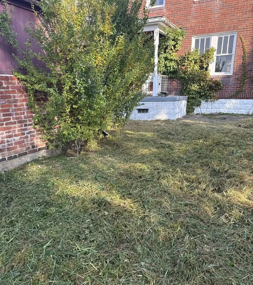 Expert landscaping services for year-round maintenance in Braddock, PA by RD3 Lawn Care