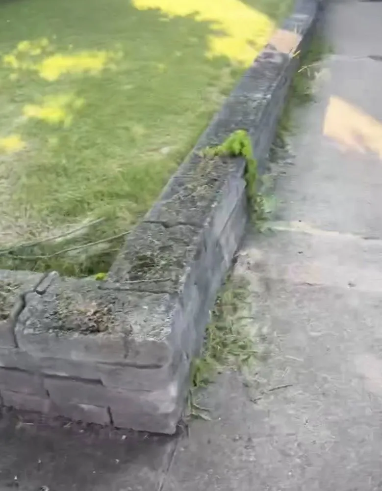 Professional yard cleanup service in Braddock, PA - RD3 Lawn Care