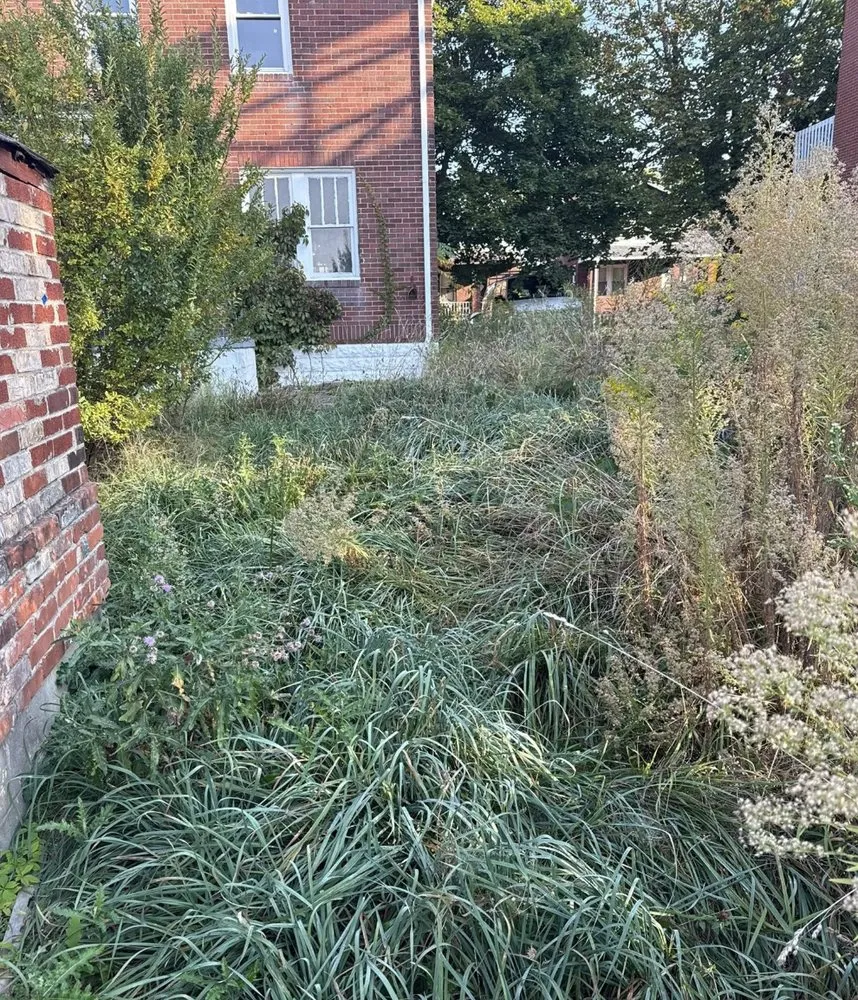 Expert garden landscaping experts serving Braddock, PA - RD3 Lawn Care