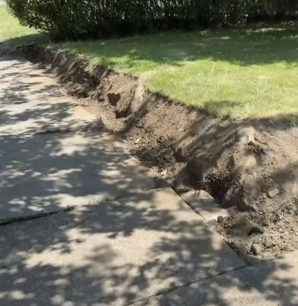 Affordable yard cleanup service in Braddock, PA - RD3 Lawn Care