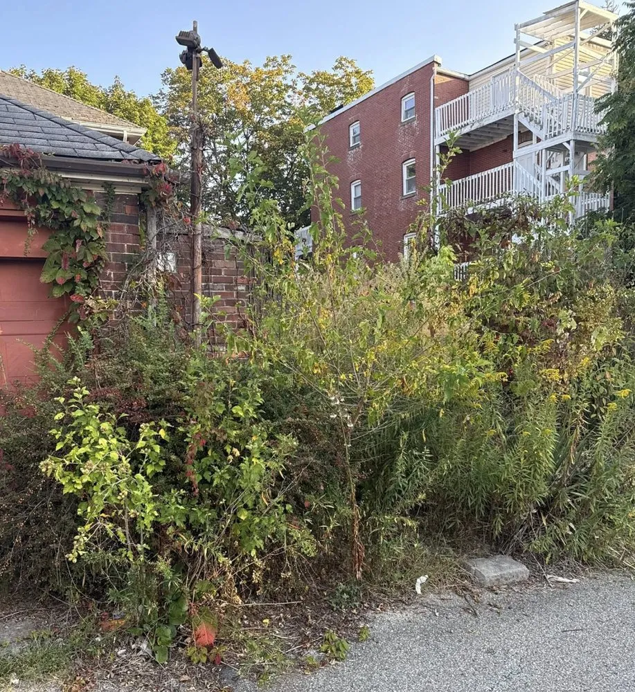 Affordable garden landscaping in Braddock, PA - RD3 Lawn Care