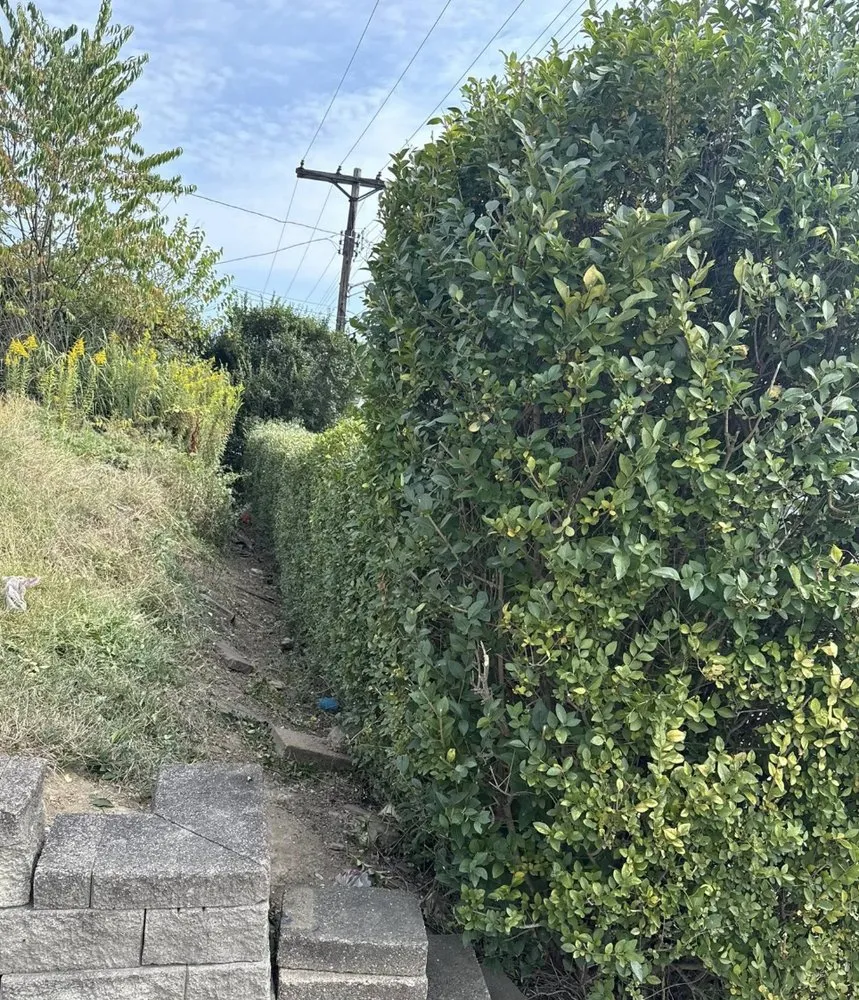 Expert landscaping services experts serving Braddock, PA - RD3 Lawn Care