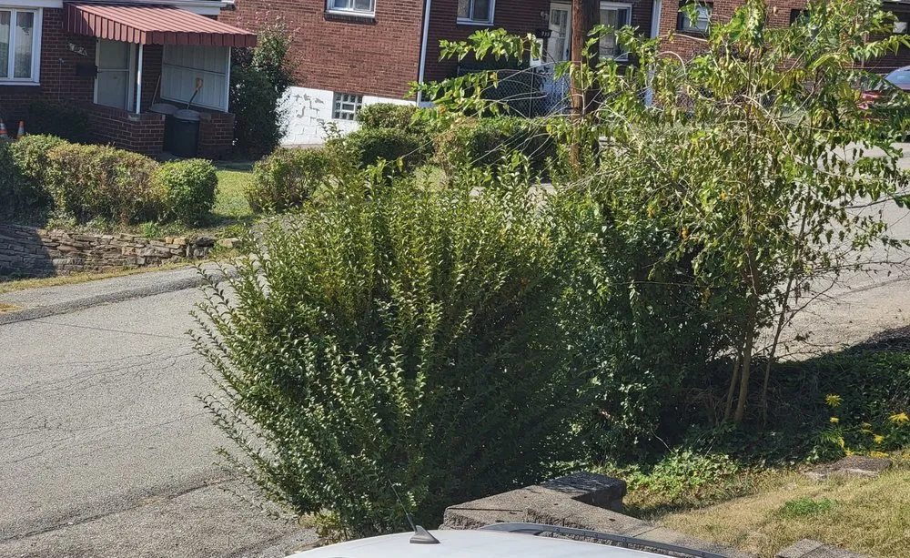 Professional landscape design near you across Braddock, PA - RD3 Lawn Care