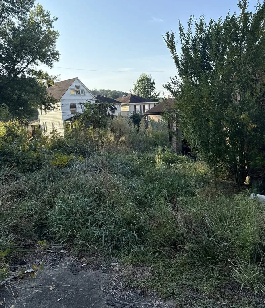 Local outdoor landscaping experts serving Braddock, PA - RD3 Lawn Care