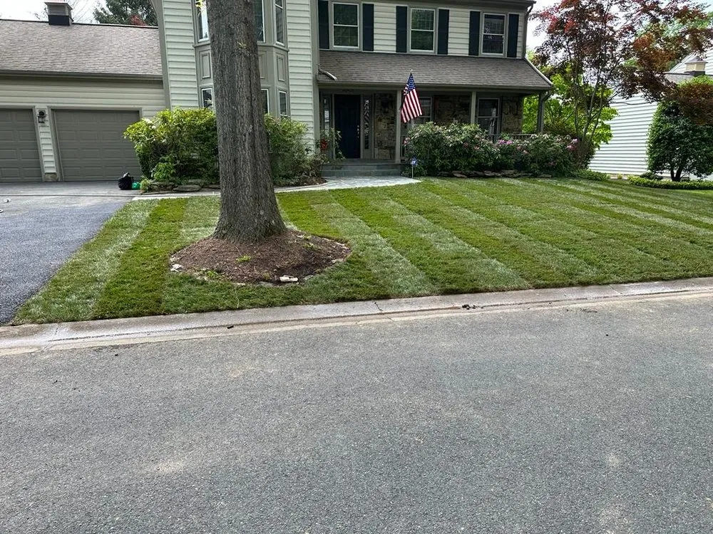 Local yard cleanup service near you in Montgomery Village, MD by RD7 Landscaping