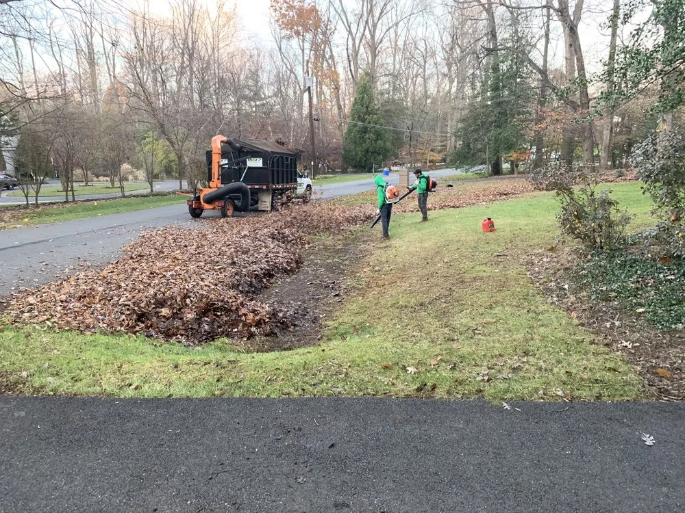 Custom landscaping services for homes across Montgomery Village, MD - RD7 Landscaping