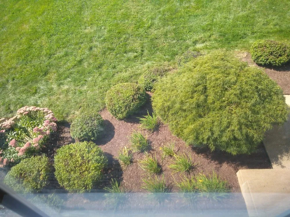 Local yard maintenance for beautiful yards in Montgomery Village, MD by RD7 Landscaping